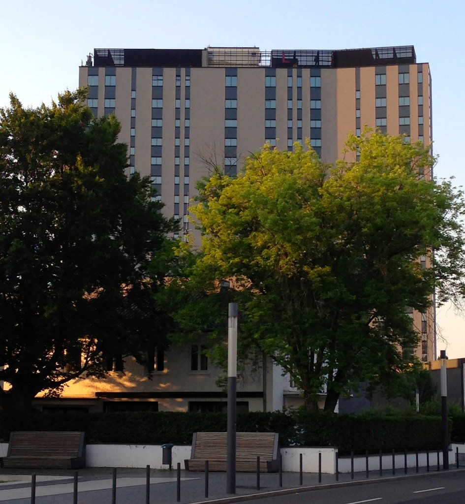 Hotel Am Hohenzollernplatz Bonn Exterior foto